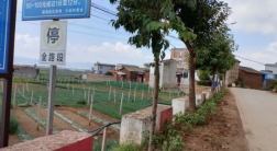 四街镇六街村绿美乡村在行动